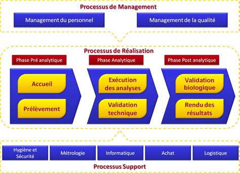Qualité Sécurité Environnement Cartographie Des Processus Dun Laboratoire