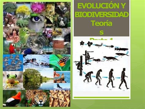 Teorias De La Evolucion Lamarck Y Darwin Ppt