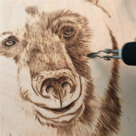 Bear Wood Burning Video Wood Burning Patterns Stencil Pyrography