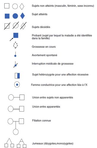 G N Tique Et Modes De Transmission Cartes Quizlet