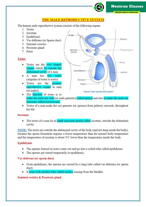 Notes Of Chapter How Do Organisms Reproduce Class Cbse Neutron