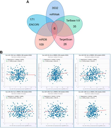 Frontiers The Clinical Significance And Immunization Of MSMO1 In