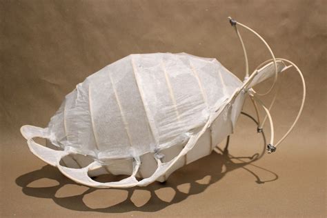 Clara Lieu Reed Wire And Tracing Paper Sculptures Based On Nature