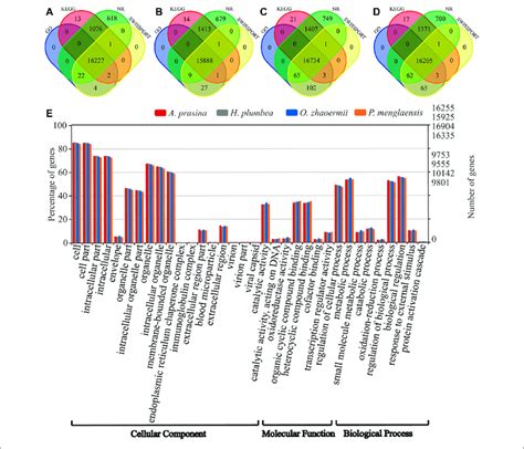 Overview Of Annotative Summary Of De Novo Transcriptome Assembly