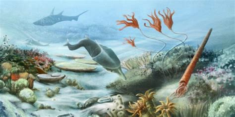 What is the Paleozoic era? - WhatMaster