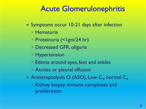 Pathophysiology Of Glomerulonephritis