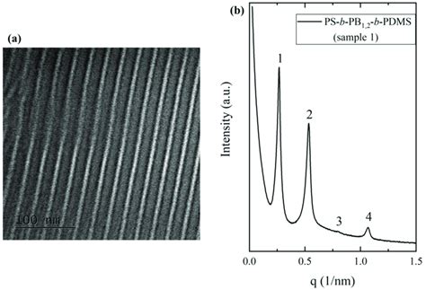 A Bright Field Tem Image Of The Ps B Pb 12 B Pdms Or Sample 1