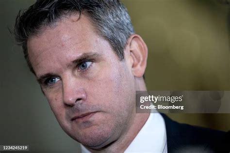 198 Republican Party Adam Kinzinger Stock Photos, High-Res Pictures ...