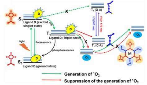 Molecules Free Full Text Supramolecular Control Of Singlet Oxygen