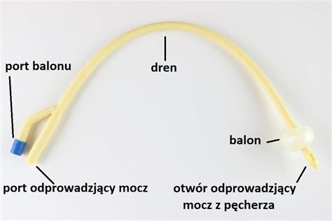 Cewnik Foleya Z Opisem Pogotowie Piel Gniarskie