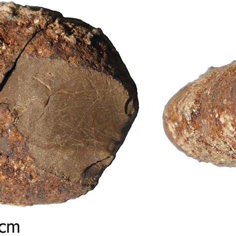 Serpentine Pebble Tool From Unit 17 MV I Showing Bifacially Knapped