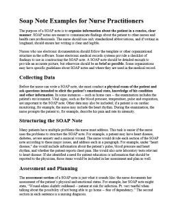 Amazing Soap Note Examples Calypso Tree