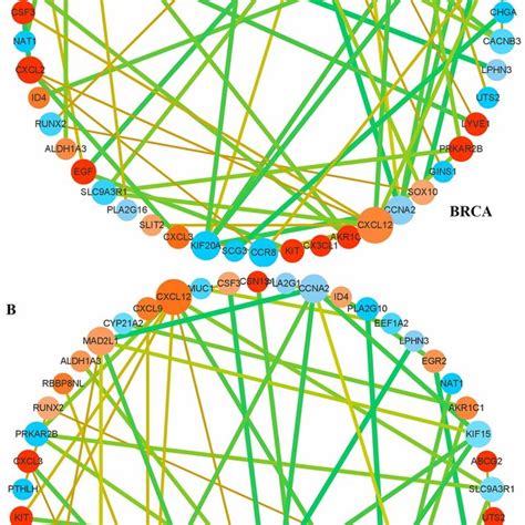 Construction Of A Proteinprotein Interaction Network Of The Common