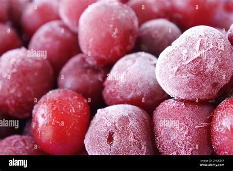 Healthy Eating Frozen Cherry In Frost Close Up Stock Photo Alamy