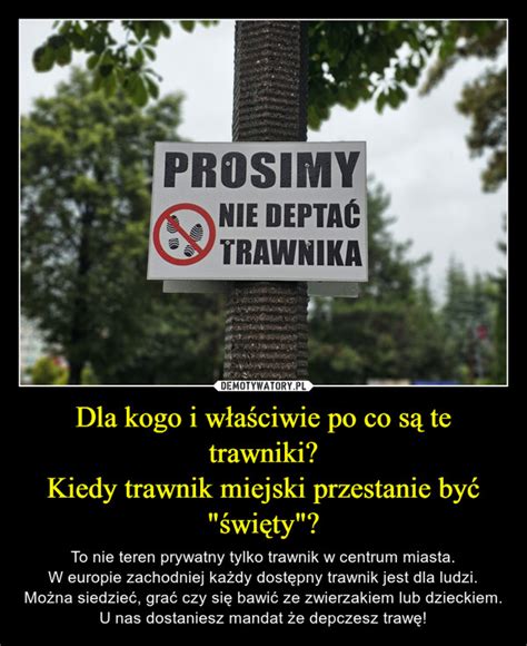 Dla kogo i właściwie po co są te trawniki Kiedy trawnik miejski