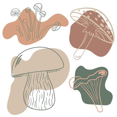 Premium Vector Mushroom Doodle Set Of Vector Illustrations Isolated