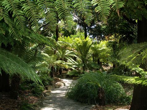 MAP: GEELONG BOTANIC GARDENS