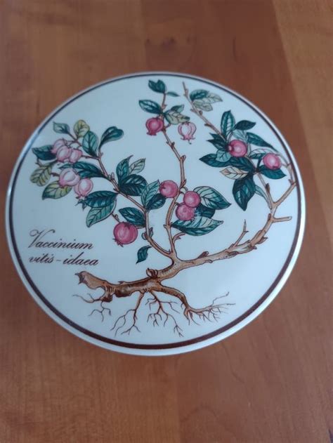 Villeroy Boch Ofengeschirr Botanica Lot Deckeldose Kaufen Auf Ricardo