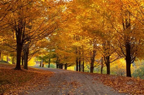 Stowe Vermont Fall Autumn In Vermont Go Stowe
