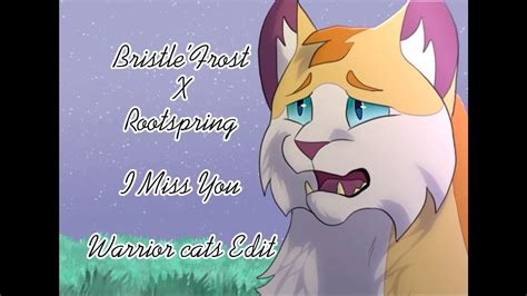 BristleFrost X Rootspring I Miss You Warrior Cats Edit YouTube