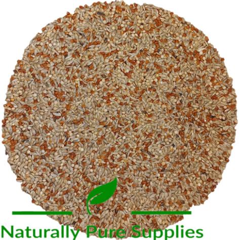 High Quality Budgie Seed White Millet Red Millet And Canary Seed