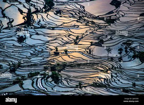 A beautiful aerial view of Yuanyang rice terraces in the daylight Stock Photo - Alamy