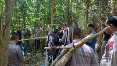 Terungkap Identitas Kerangka Manusia Yang Ditemukan Warga Di Kendari