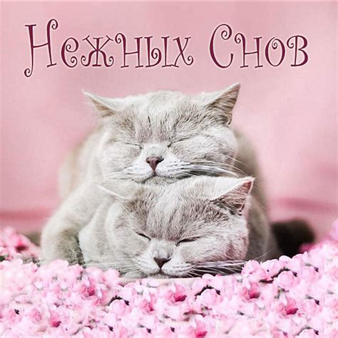 НЕЖНЫХ снов картинки с надписями и пожеланиями