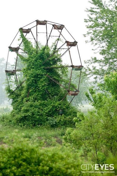 Photos Qui Montrent Que La Nature Reprend Toujours Ses Droits Sur La