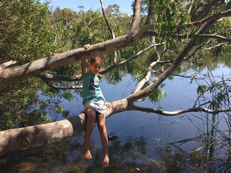 Newport Lakes Reserve Newport Eco Explorers