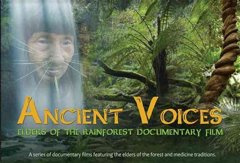 Best Rainforest Documentaries and Films Selection - Queen of the Forest