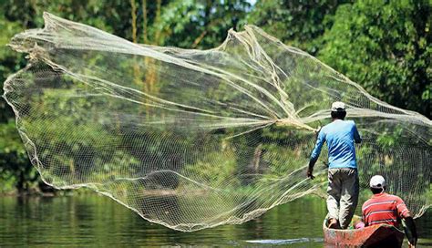 Potenciar La Pesca En Colombia Productos Para Acuicultura Hanna