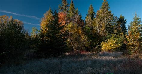 Tomass Hawkke S Naked Nature Frosted Grass