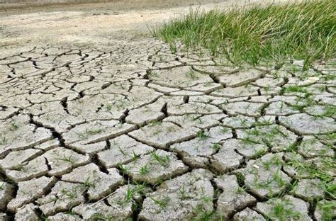 Emergenza Siccit Chiesto Il Razionamento Dell Acqua In Comuni