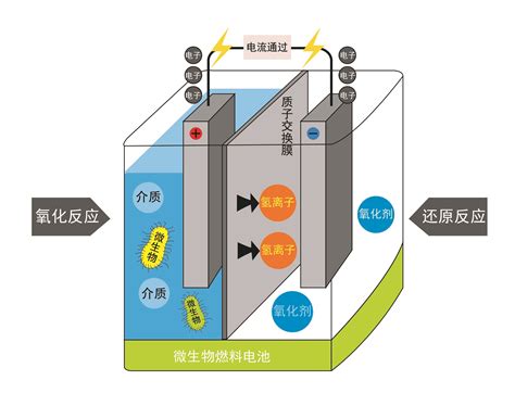 明日之花微生物燃料电池 科普中国网