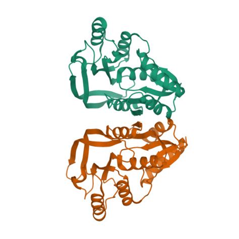 Rcsb Pdb D Crystal Structure Of Ph From Pyrococcus Horikoshii Ot