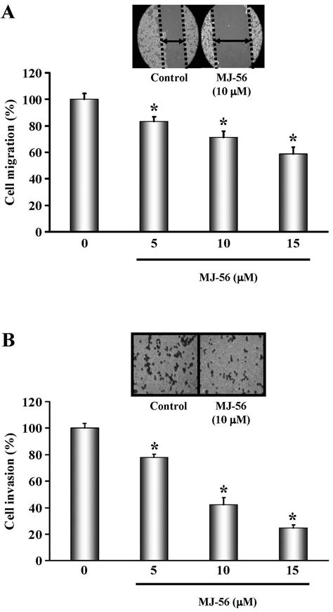 Dual Inhibition Of Egfr And C Met Kinase Activation By Mj 56 Reduces