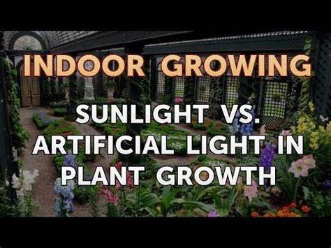 Sunlight Vs Artificial Light In Plant Growth