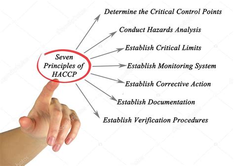 Diagrama De Princ Pios Do Haccp Fotos Imagens De Vaeenma