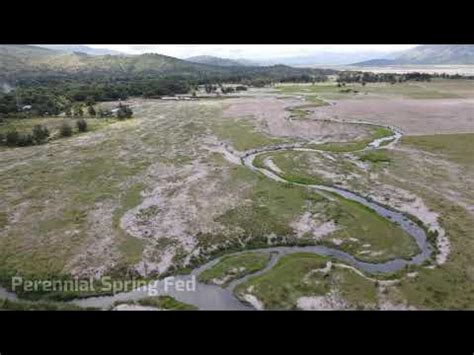 Iba Botanicals Inc: Organic Vetiver Plantation (43.3 hectares) - YouTube