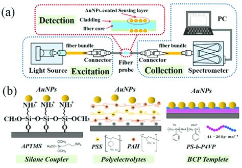 Schematic Diagram Of A Gold Nanoparticle Aunp Based Fiber Optic Download Scientific Diagram