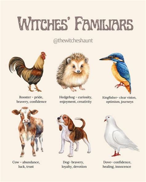 Pin By Meredith Seidl On Witchery Witches Familiar Witch Books