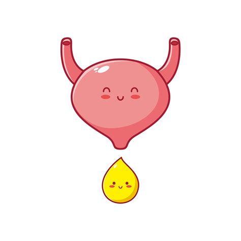 Cute Kawaii Happy Funny Human Bladder Organ Character With Urine Drop Vector Flat Line Cartoon