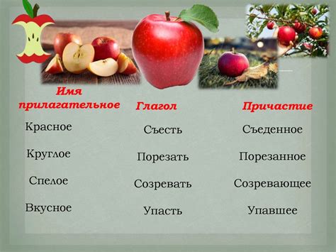 Что такое причастие? - презентация онлайн