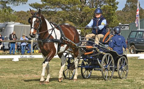 Gallery Carriage Driving Nsw