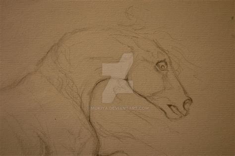 scared horse by Mukiya on DeviantArt