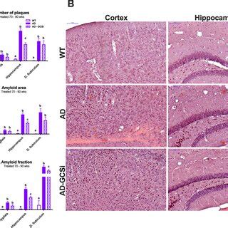 GCSi Treatment Reduces Amyloid Plaque Burden In Aged AD Mice A Amyloid