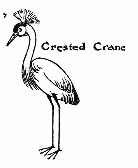 Drawing for kids step by step - Crested Crane - Smart Kids 123