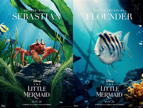 The Internet Cant Stop Wont Stop Taking Shots At Flounder And Sebastian In The Little Mermaid