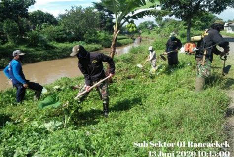 Sektor 21 1 Angkat Sedimentasi Babad Rumput Dan Sampah Sebanyak 350 Kg